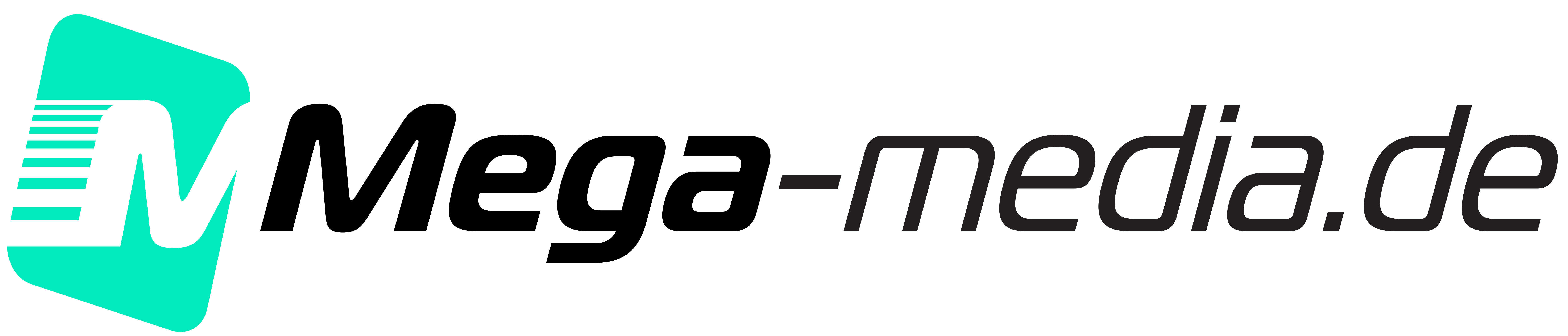 Design, Konzeption, Entwicklung by mega-media.de Das mega-media.de Logo